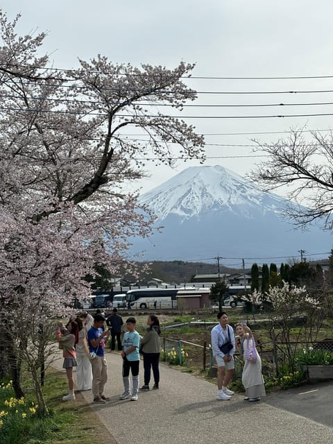 From Tokyo: Mt. Fuji Private Car Day Trip With Guide - Shinto Culture and Spiritual Significance