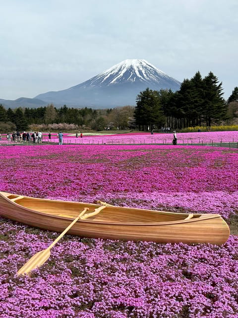 From Tokyo: Mt. Fuji Private Car Day Trip With Guide - Frequently Asked Questions