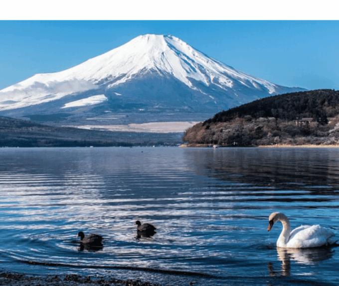 From Tokyo: Mt Fuji Private Day Tour In Land Cruiser ZX - Thrilling Mt. Kachi Kachi Ropeway