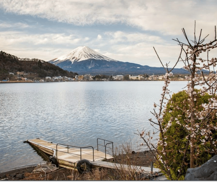 From Tokyo: Mt Fuji Private Day Tour In Luxury Land Cruiser - Itinerary