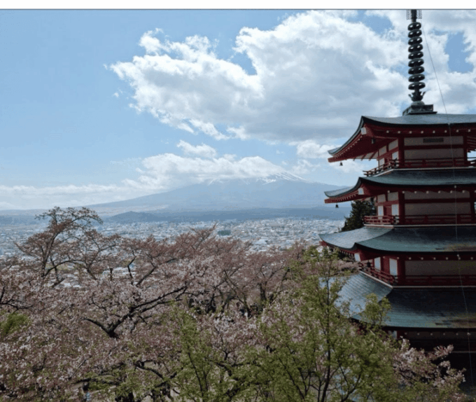 From Tokyo: Mt Fuji Private Day Tour In Luxury Land Cruiser - Pickup Procedure