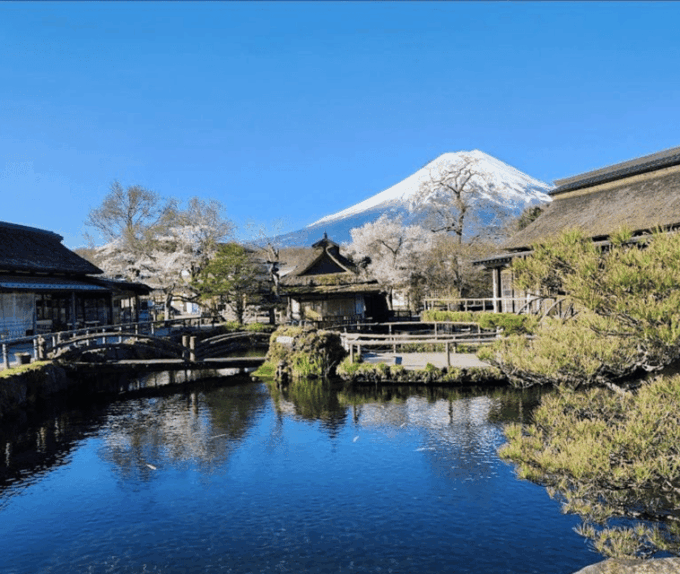 From Tokyo: Mt Fuji Private Day Tour In Luxury Land Cruiser - Group Size Options