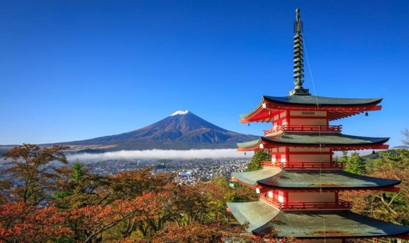 From Tokyo: Mt Fuji Private One Day Trip (w/ Toyota Alphard) - Pickup and Drop-off Locations
