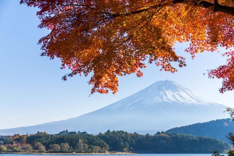 From Tokyo: Mt Fuji Private One Day Trip (w/ Toyota Alphard) - Lake Kawaguchi & Ropeway