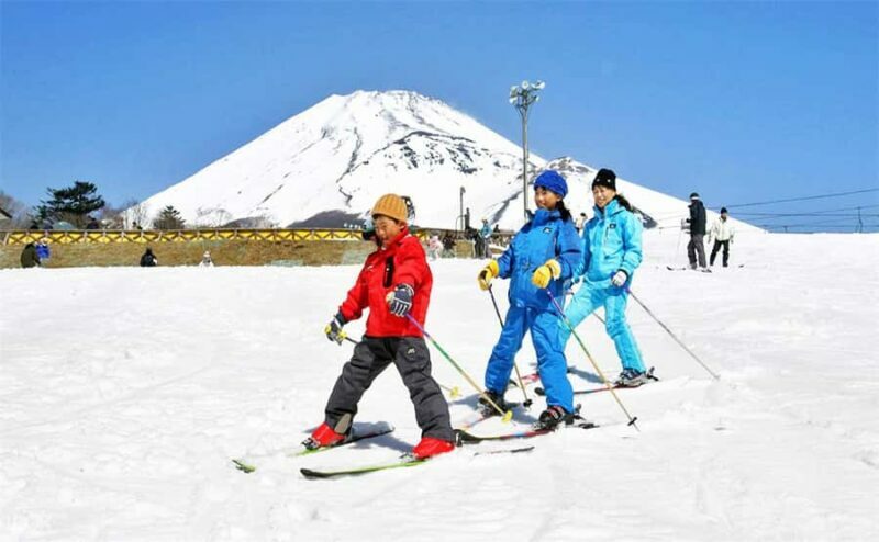 From Tokyo: Mt. Fuji Skiing And Onsen Experience 1-Day Tour - Key Points