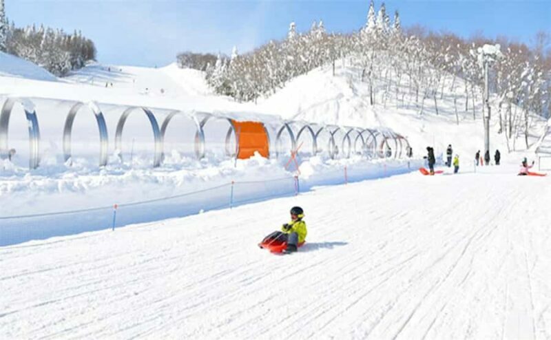 From Tokyo: Mt. Fuji Skiing And Onsen Experience 1-Day Tour - Who Should Consider This Tour?