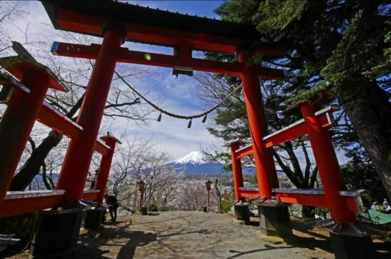 From Tokyo: Mt. Fuji Spanish & English Tour - What the Tour Includes and Why It Matters