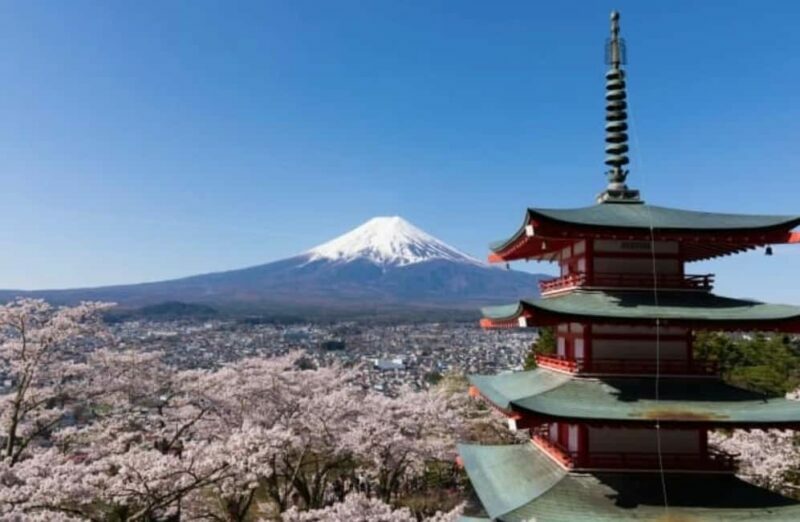 From Tokyo: Mt. Fuji Spanish & English Tour - The Sum Up