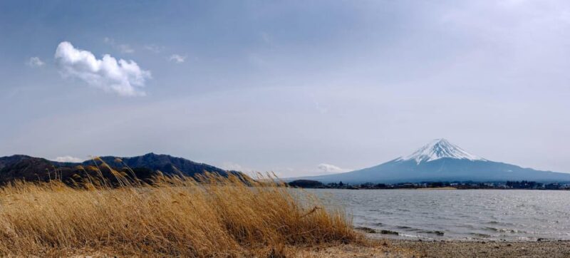 From Tokyo: Mt. Fuji Super Ultimate Tour - Stops and Activities