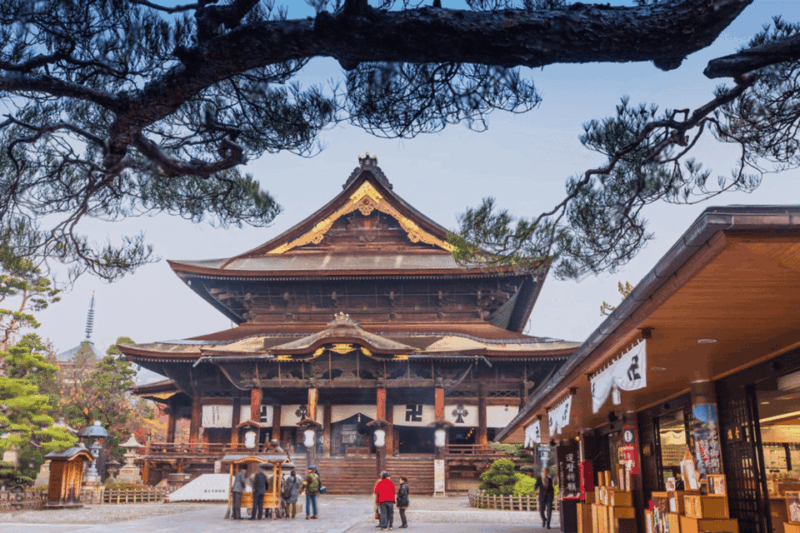 From Tokyo: Nagano, Monkeys, Zenkoji Temple Private Day Trip - Natural and Cultural Experience