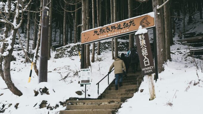 From Tokyo: Nagano Private Full Day Trip - Frequently Asked Questions