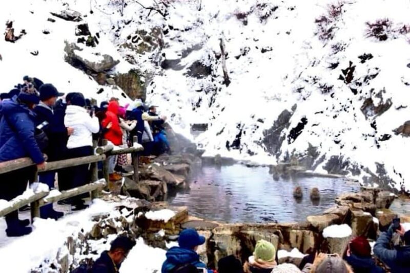 From Tokyo: Nagano Snow Monkey Park Full-Day Private Tour - Zenko-ji Temple