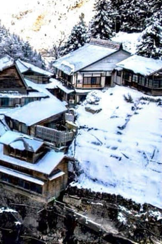 From Tokyo: Nagano Snow Monkey Park Full-Day Private Tour - Transportation and Pickup