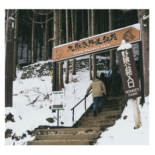 From Tokyo & Nagano: Snow Monkey Park Private Tour In Prado - Key Points