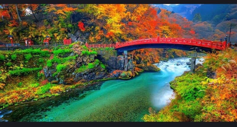 From Tokyo: Nikko 1 Day Private Tour With English Driver - Tour Exclusions