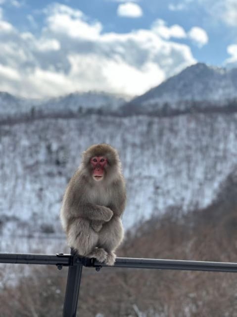 From Tokyo: Nikko 1 Day Private Tour With English Driver - Booking and Cancellation