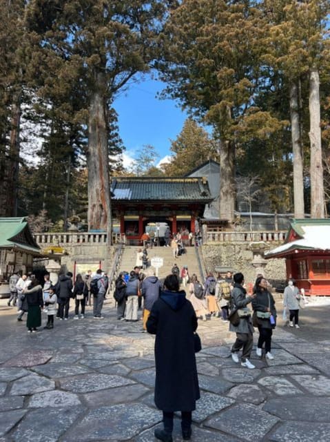 From Tokyo: Nikko 1 Day Private Tour With English Driver - Group Size and Experience