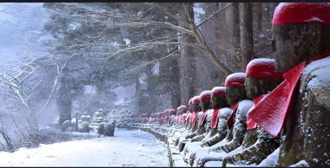 From Tokyo: Nikko 1 Day Private Tour With English Driver - Destination Insights