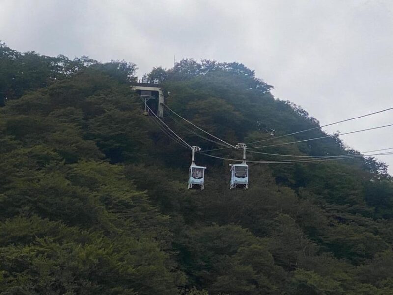 From Tokyo: Nikko Customised Private 1 Day Sightseeing Tour - Discovering Nikkō National Park and Nikko Toshogu