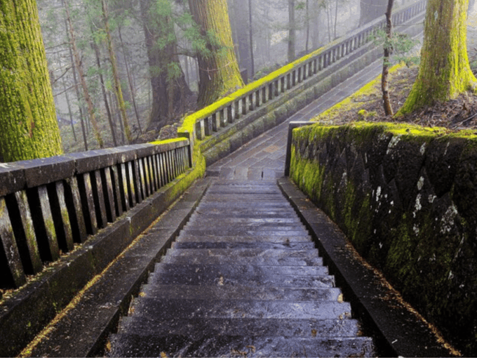 From Tokyo: Nikko Customised Private 1 Day Sightseeing Tour - Traveler Feedback