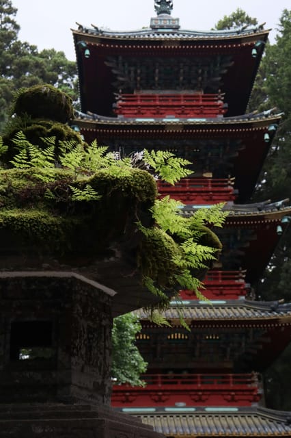 From Tokyo: Nikko Customized Private English Full-Day Trip - FAQ