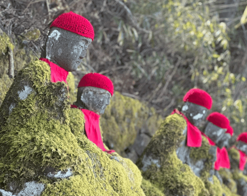 From Tokyo: Nikko Day Trip With Toshogu Shrine and Waterfall - Scenic Drives and Lakeside Vistas