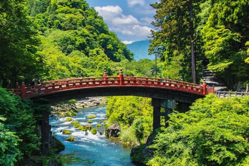 From Tokyo : Nikko Full Day Private Sightseeing Tour - Accessibility