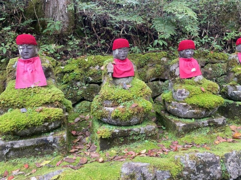 From Tokyo : Nikko Full Day Private Sightseeing Tour - Included Amenities
