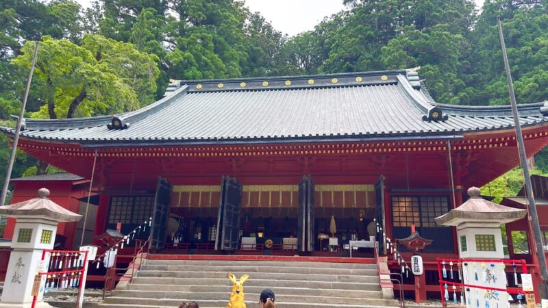 From Tokyo: Nikko Highlights One Day Private Tour - Akechidaira Ropeway Observation Deck
