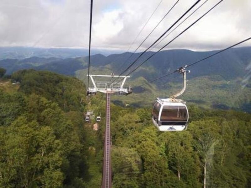 From Tokyo: Nikko Luxury Tour With English-Speaking Guide - Key Points
