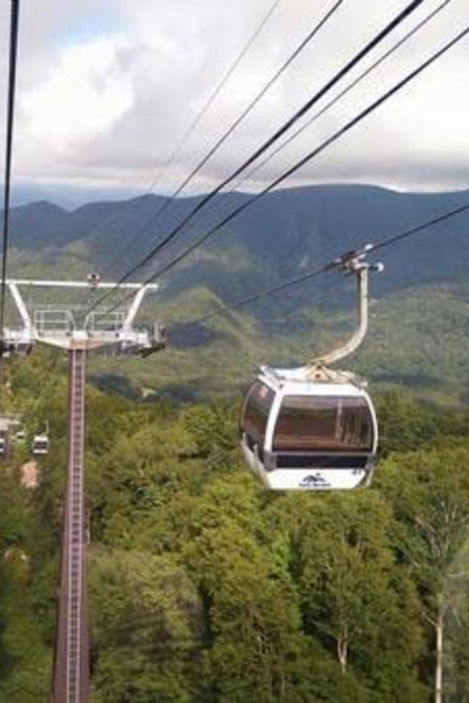 From Tokyo: Nikko Luxury Tour With English-Speaking Guide - Transportation and Accessibility
