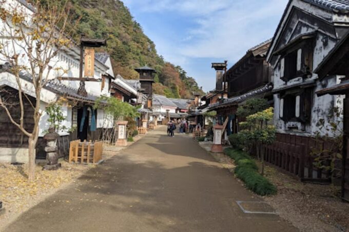 From Tokyo: Nikko Luxury Tour With English-Speaking Guide - Scenic Wonders of Nikko National Park