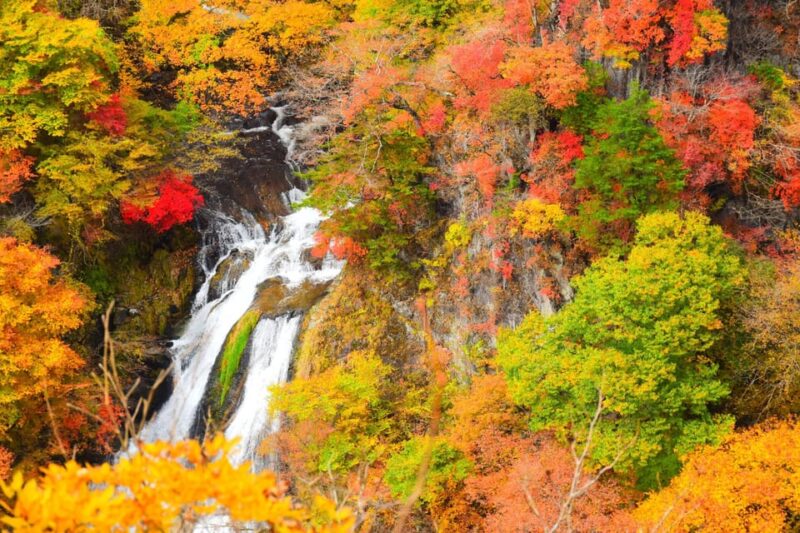 From Tokyo: Nikko One Day Private Tour With English Driver - Kegon Falls and Maples