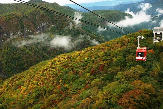 From Tokyo: Nikko Private 1-Day Sightseeing Trip With Guide - Strolling Through Nikko Tamozawa Imperial Villa