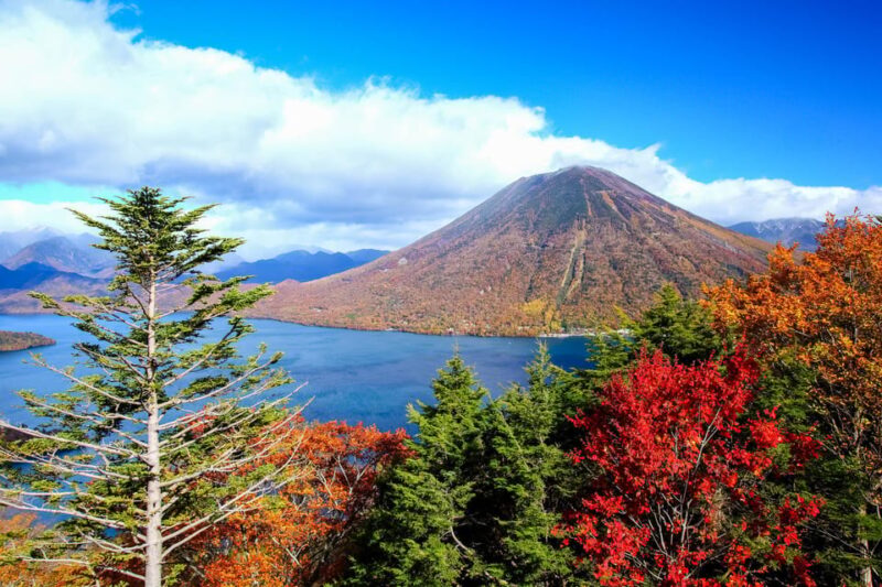 From Tokyo: Nikko Private Day Trip With English Guide - Itinerary Highlights