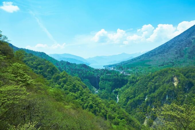 From Tokyo: Nikko Private Day Trip With English Guide - Panoramic Views and Immersive Experiences