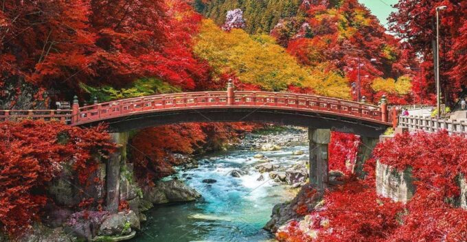 From Tokyo: Nikko Private Day Trip With English Guide - Iconic Nikko Toshogu