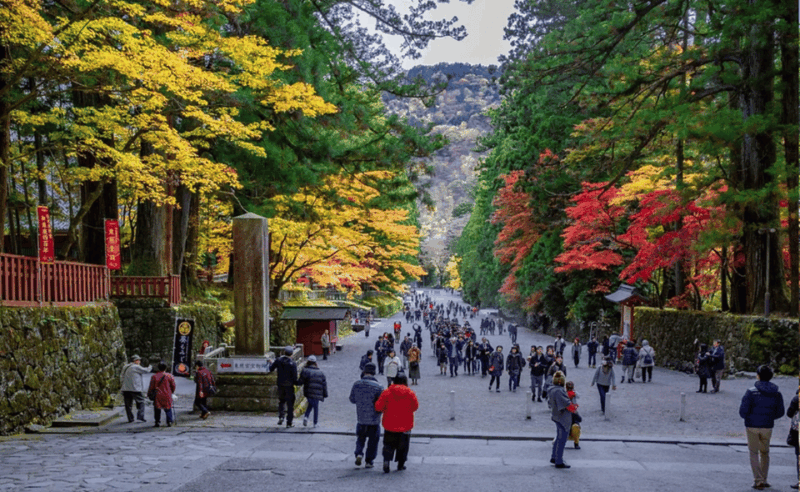 From Tokyo: Nikko Private Full-Day Sightseeing Day Trip . - Key Points
