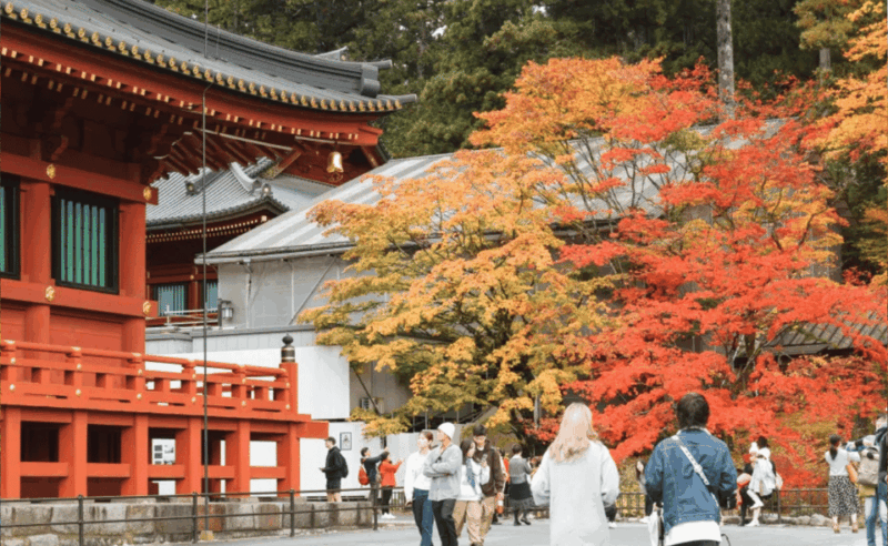 From Tokyo: Nikko Private Full-Day Sightseeing Day Trip . - Itinerary Highlights