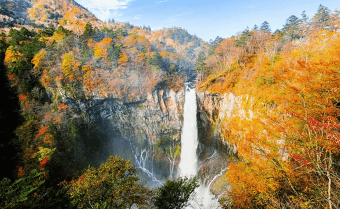 From Tokyo: Nikko Private Full-Day Sightseeing Day Trip . - Shinkyo Bridge