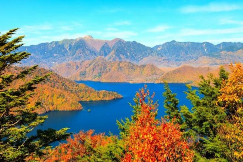 From Tokyo: Nikko Private Full-Day Sightseeing Day Trip - Pricing and Booking Options