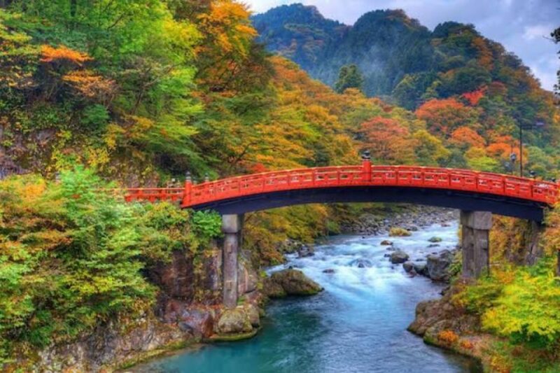 From Tokyo: Nikko Private Full-Day Sightseeing Day Trip - Highlights and Key Activities