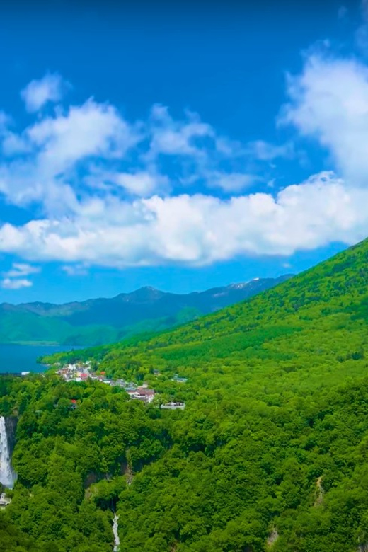 From Tokyo: Nikko Private Sightseeing Tour With Transfers - Key Points