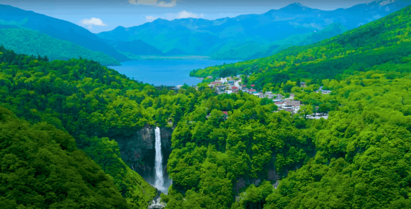 From Tokyo: Nikko Private Sightseeing Tour With Transfers - Toshogu Shrine