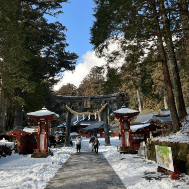 From Tokyo: Nikko Private Tour In Luxury Prado Lowest Price - Driver and Communication