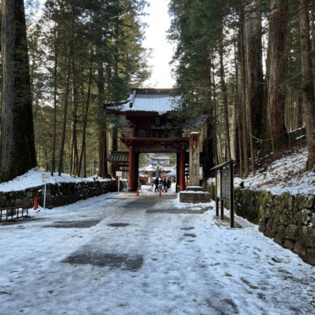 From Tokyo: Nikko Private Tour In Luxury Prado Lowest Price - Tour Customization Options