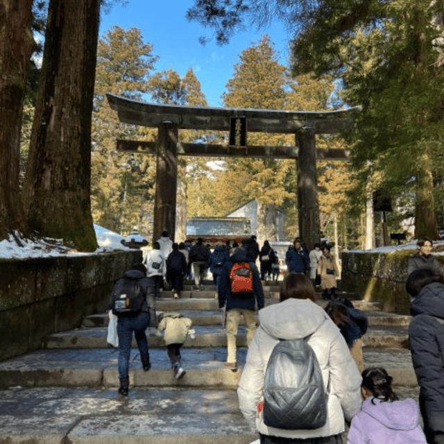 From Tokyo: Nikko Private Tour In Luxury Prado Lowest Price - Traveler Reviews and Testimonials
