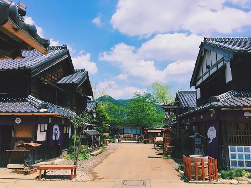 From Tokyo: Nikko Private Tour With English-Speaking Guide - Experience and Activities