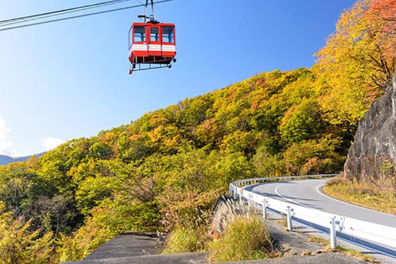 From Tokyo: Nikko Private Tour With English-Speaking Guide - Inclusions and Exclusions