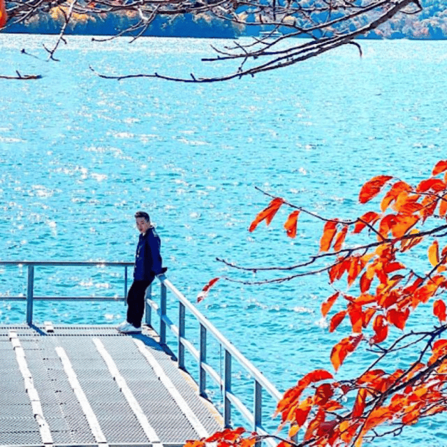 From Tokyo: Nikko Sightseeing Private Day Tour English Guide - Inclusions and Exclusions
